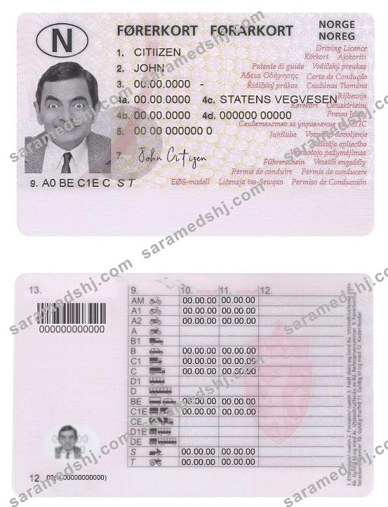 Norway driving license template,fully editable(2013present)